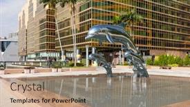  Presentation with dolphin - 