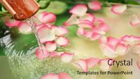  Presentation with spa - Beautiful PPT layouts featuring tube rose - beautiful spa composition with flower backdrop and a soft green colored foreground
