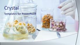  Presentation with chemist - Slides featuring tube rose - chemist mixing perfumes background and a sky blue colored foreground