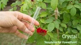  Presentation with earth water and plants - Amazing presentation theme having tube water in hand rose backdrop and a tawny brown colored foreground