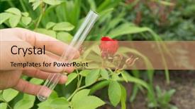  Presentation with earth water and plants - Colorful PPT layouts enhanced with tube water in hand rose backdrop and a coral colored foreground