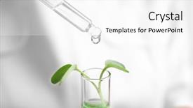  Presentation with pipette - Beautiful slide deck featuring tube with plant on light backdrop and a white colored foreground