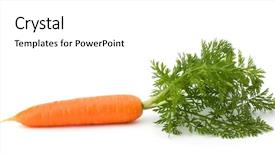  Presentation with fall leaves border white - Cool new theme with tuber - carrot vegetable with leaves isolated backdrop and a white colored foreground