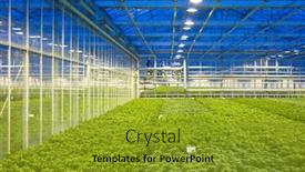  Presentation with horticulture - Theme featuring tubes and valves regulating background and a gold colored foreground