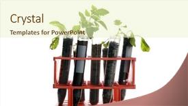  Presentation with plants growing - Slide deck enhanced with tubes in a research labratory background and a soft green colored foreground