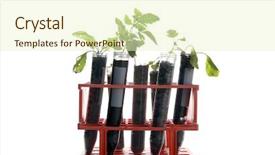  Presentation with plants growing - Amazing PPT theme having tubes in a research labratory backdrop and a soft green colored foreground