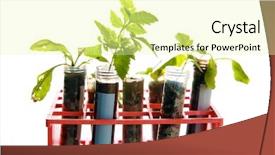  Presentation with plants growing - Slide set consisting of tubes in a research labratory background and a blonde colored foreground