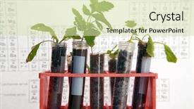  Presentation with plants growing - Colorful slide set enhanced with tubes in a research labratory backdrop and a soft green colored foreground