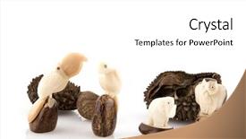  Presentation with reproduction in animals - Cool new slide set with tucan - carved animals from vegetable ivory backdrop and a  colored foreground