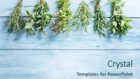  Presentation with herbs blue - Amazing slide deck having tufts - different bunches of fresh herbs backdrop and a sky blue colored foreground