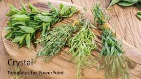  Presentation with herbs - Audience pleasing slide deck consisting of tufts - different bunches of fresh herbs backdrop and a coral colored foreground