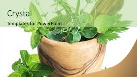  Presentation with mortar - PPT theme enhanced with tufts - different fresh herbs background and a mint green colored foreground