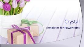  Presentation with tulip - Slide deck with tulip bouquet and gift box background and a sky blue colored foreground
