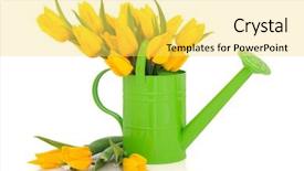  Presentation with blue and yellow green - Amazing presentation theme having tulip flower arrangement in green backdrop and a yellow colored foreground