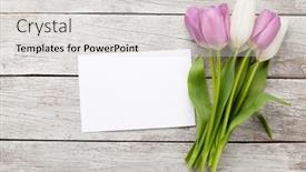  Presentation with greeting card - Beautiful slides featuring tulip-flowers-bouquet-easter-greeting backdrop and a light gray colored foreground
