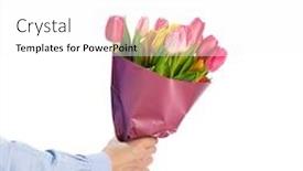  Presentation with white flowers - Presentation with tulip-flowers-bouquet-in-hand background and a white colored foreground