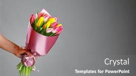  Presentation with tulip - PPT theme consisting of tulip-flowers-bouquet-in-hand background and a gray colored foreground