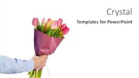  Presentation with tulip - Beautiful presentation featuring tulip-flowers-bouquet-in-hand backdrop and a white colored foreground