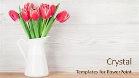  Presentation with greeting card - Presentation theme enhanced with tulip flowers bouquet in pitcher background and a lemonade colored foreground