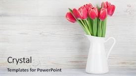  Presentation with greeting card - PPT layouts enhanced with tulip flowers bouquet in pitcher background and a light gray colored foreground