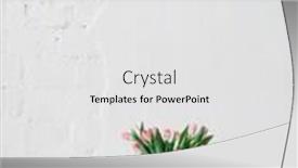  Presentation with mothers day - Presentation design with tulip flowers bouquet on white background and a white colored foreground