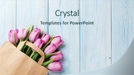  Presentation with pink flowers - Amazing slide set having tulip flowers in paper bag backdrop and a sky blue colored foreground