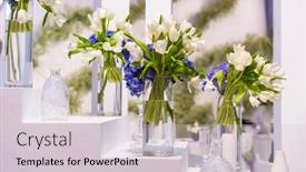  Presentation with tulip - Slides having tulip-in-a-glass-vase background and a light gray colored foreground