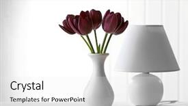  Presentation with tulip - Cool new PPT theme with tulip in vase with lamp backdrop and a  colored foreground