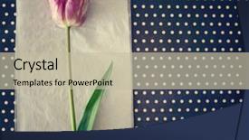  Presentation with dot map - Amazing slides having tulip on polka dot background backdrop and a mint green colored foreground