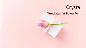  Presentation with tulip - Beautiful theme featuring tulip on powder pink paper backdrop and a lemonade colored foreground