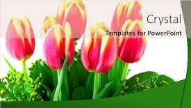 Presentation with ceiling designs abstract architecture white - PPT layouts having tulip-on-the-white-background background and a lemonade colored foreground