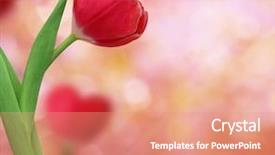  Presentation with shape heart - Audience pleasing presentation theme consisting of shape of a heart backdrop and a coral colored foreground