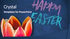  Presentation with blue tulip - Cool new theme with tulips 24 - tulip against blue background backdrop and a ocean colored foreground