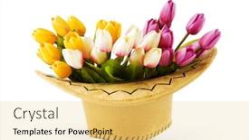  Presentation with cowboy hat - Cool new theme with tulips and cowboy hat isolated on white backdrop and a yellow colored foreground
