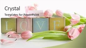  Presentation with congratulation - PPT layouts having tulips and gift card background and a white colored foreground