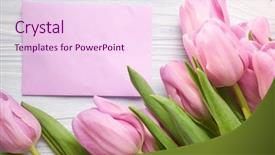  Presentation with celebrate - Presentation theme with march 8th mother's day background and a pink colored foreground