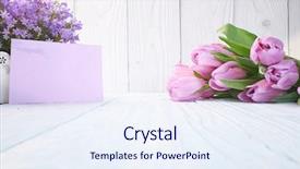  Presentation with birthday card - Amazing PPT theme having tulips and post card march backdrop and a sky blue colored foreground