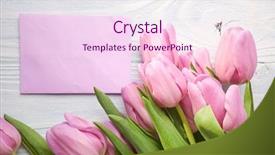  Presentation with celebrate - Slides consisting of tulips and post card march background and a pink colored foreground