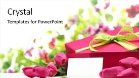  Presentation with tulips - Cool new slide set with tulips blank card and gift backdrop and a white colored foreground