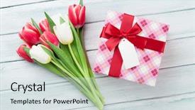  Presentation with tulips - Colorful slide set enhanced with tulips bouquet and gift box backdrop and a sky blue colored foreground