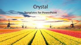  Presentation with windmill - Slide deck consisting of tulips field with dutch windmill background and a light blue colored foreground