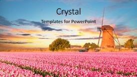  Presentation with windmill - Amazing PPT theme having tulips field with dutch windmill backdrop and a light blue colored foreground