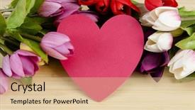  Presentation with tulips - PPT theme enhanced with tulips flowers arranged with copyspace for your text background and a lemonade colored foreground