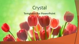  Presentation with light green - PPT theme having tulips holiday background with defocused magic light green backdrop background and a mint green colored foreground