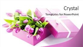  Presentation with tulips - Amazing PPT layouts having tulips in a gift backdrop and a  colored foreground