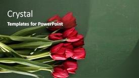  Presentation with mother board - Colorful PPT theme enhanced with tulips on a wooden board backdrop and a dark gray colored foreground