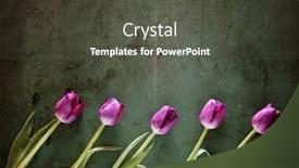  Presentation with mother board - Slide deck consisting of valentine's day or other background and a dark gray colored foreground