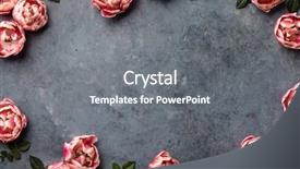  Presentation with border pink - Colorful PPT theme enhanced with tulips on dark shabby chic backdrop and a gray colored foreground