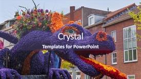  Presentation with tulips - Cool new PPT theme with tulips on flowers parade backdrop and a violet colored foreground