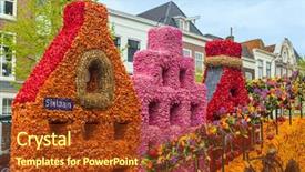  Presentation with tulips - Beautiful slides featuring tulips on flowers parade backdrop and a tawny brown colored foreground